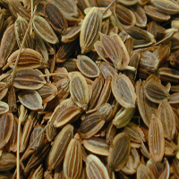 dil seeds