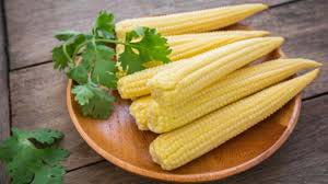 Common Baby Corn, for Cooking, Style : Fresh