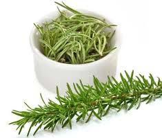 Rosemary Leaves