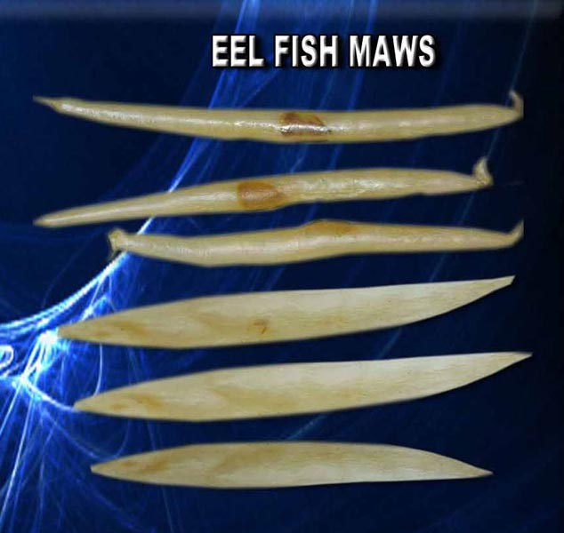 EEL Fish Maws