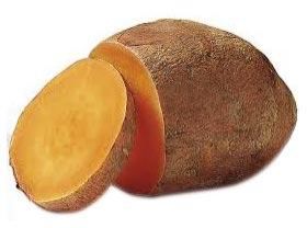 Fresh Yam