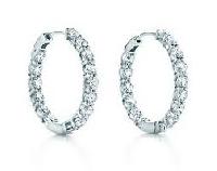 Platinum Earrings