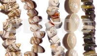 Shell Beads