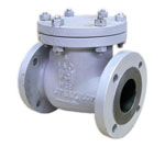 CHECK VALVE BOLTED COVER