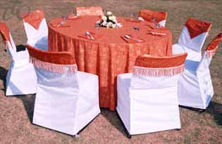 Chair Covers Ccs-03