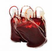 blood bag