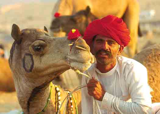 rajasthan tour packages