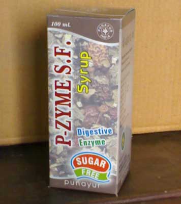 P-Zyme SF Syrup (sugar free)
