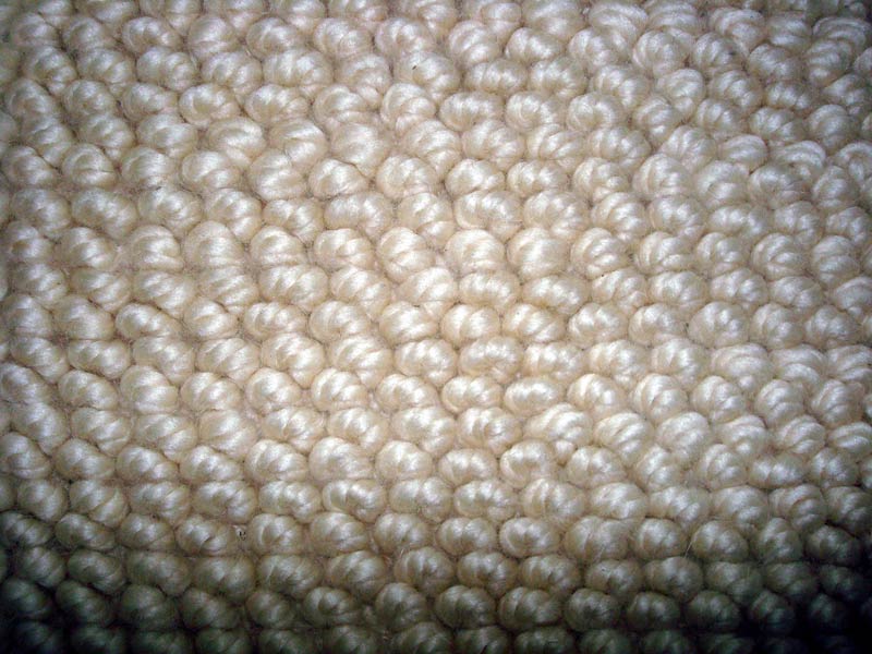 Wool Shag Carpet