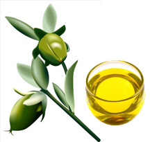 Jojoba Oil