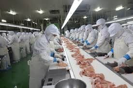 Halal Frozen Chicken Whole Leg