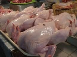 Halal Frozen Whole Chicken