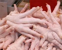Quality Frozen Chicken Feet