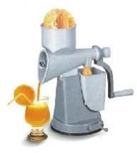 Fruit Juicer