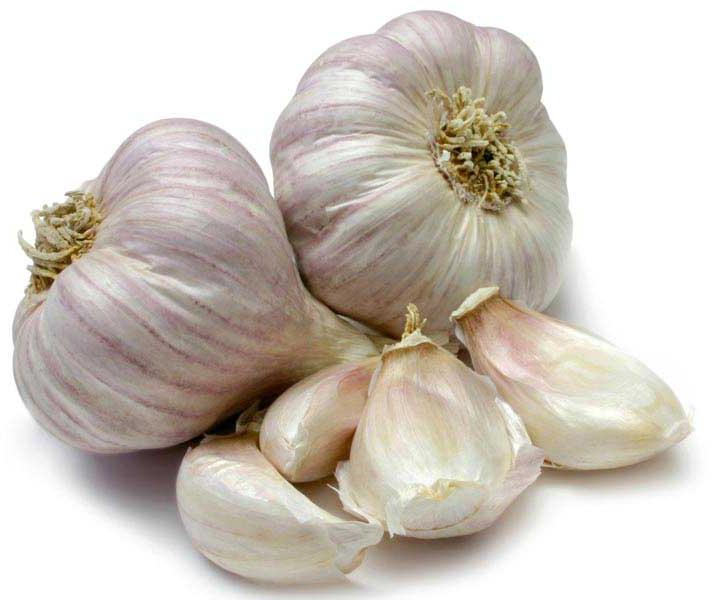 Organic fresh garlic, for Cooking, Feature : Dairy Free