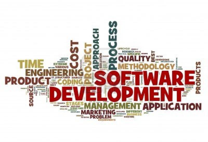 Customised software development