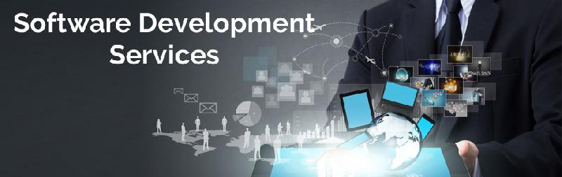 software customization services