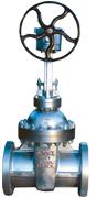 Gear Operated Gate valves