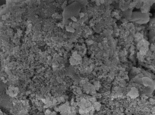 Silver Nanoparticles, Purity : 99.9%