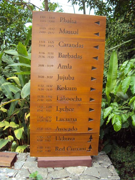 Engraved Wooden Sign Boards