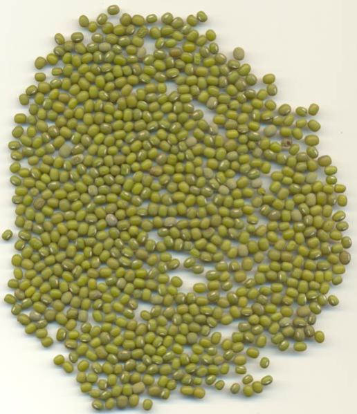 green mung beans