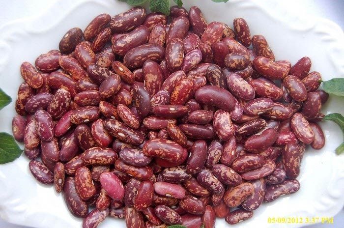 Red Speckled Beans
