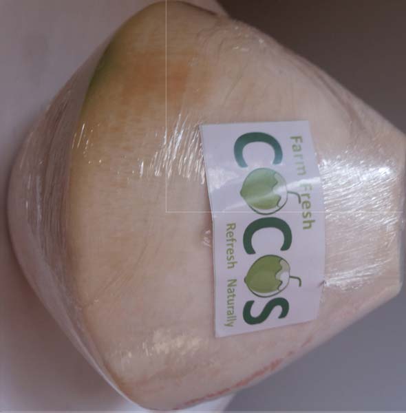 Diamond Shaped Young Coconut