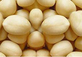 Blanched Java Peanuts, Color : White