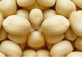 Blanched Java Peanuts