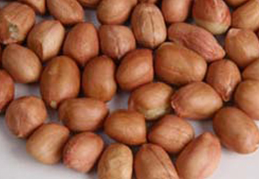 Java Peanuts, Color : Pink