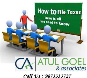 Tax Consultant Service