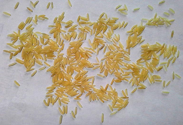 1121 Golden Premium Basmati Sella Rice