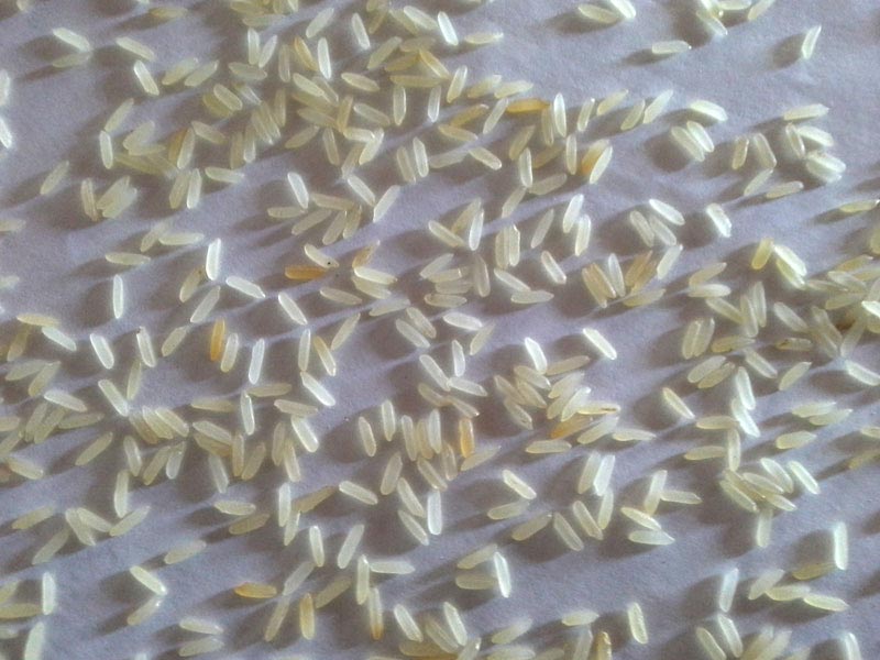 Parmal 11 Parboiled Rice