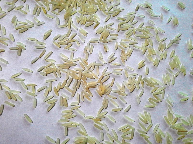 Sughanda Premium Basmati Sella Rice