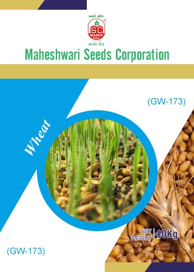GW-173 Wheat Seeds