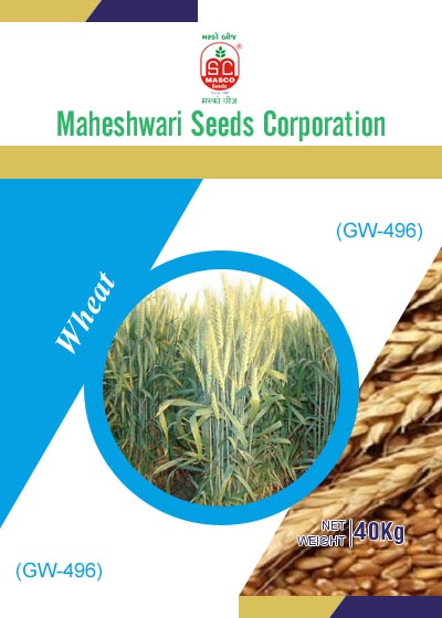 GW-496 Wheat Seeds