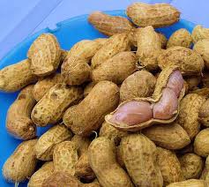 Shelled Groundnuts