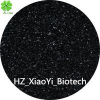 Sodium Humate Shiny Flake