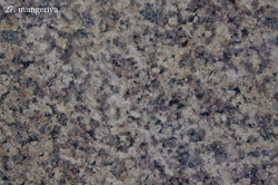 Mungeriya Granite