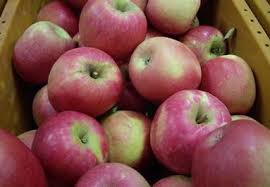 Fresh American Kashmir Apple