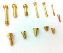 Brass Ceiling Screw