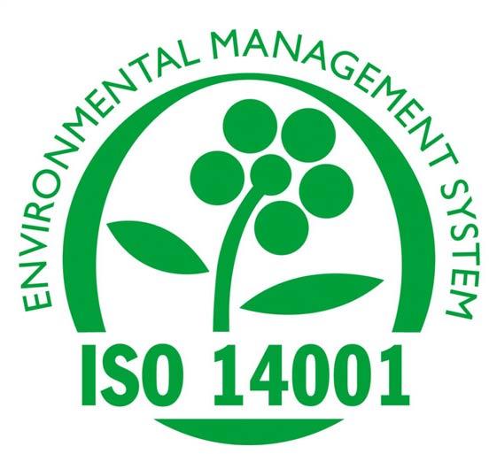 Environment Management System
