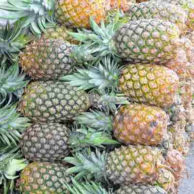 Fresh Pineapples