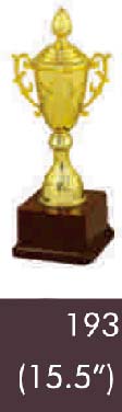 193 15-5 Inches Trophy