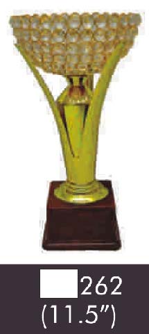 Wooden 262 11-5 Inches Trophy, Feature : Durable