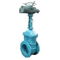 Motorized gate valve