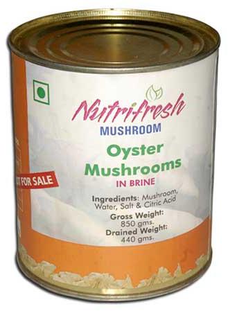 Canned Oyster Mushroom-01