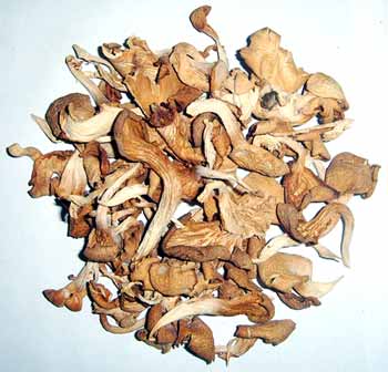 Dried Mushroom-01
