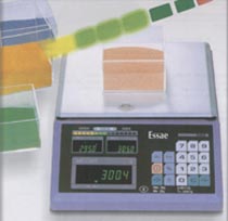 Check Weighing Scale (DS - 450CW)