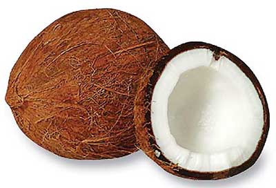 Coconut-02